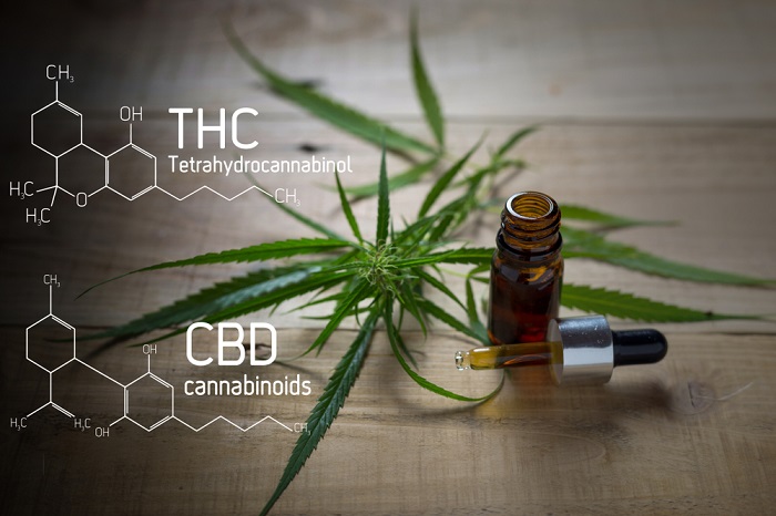 מה ההבדל בין CBD ל- THC?
