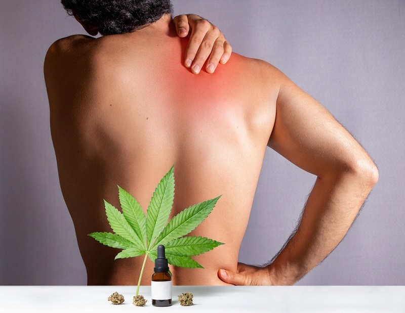 טיפול טבעי בכאבי גב באמצעות מוצרי CBD