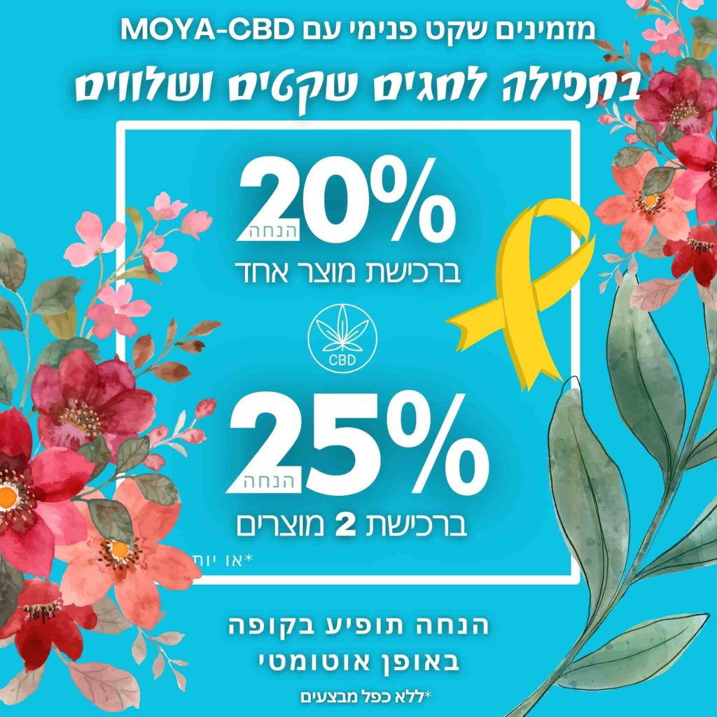 פופ אפ חגים 2024